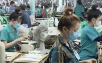 Miễn phí đưa công nhân về quê ăn Tết
