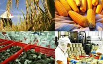 Xuất khẩu nông sản nhiều tín hiệu khả quan
