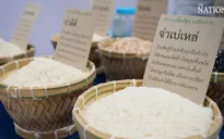 Thái Lan phát triển phân khúc thị trường gạo cao cấp