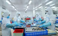 Bà Rịa - Vũng Tàu: GRDP bình quân đầu người đạt 8.078 USD