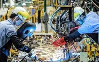 Ngân hàng Thế giới: 2023 là một năm “kiên cường” của kinh tế Việt Nam
