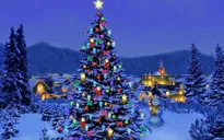 Ý nghĩa của cây thông Noel trong lễ Giáng sinh