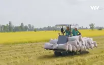Xây dựng nông dân Việt Nam phát triển toàn diện