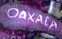 Lễ hội Đêm củ cải tại Mexico thu hút hàng nghìn lượt du khách