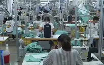 Khủng hoảng Biển Đỏ ảnh hưởng đến doanh nghiệp xuất khẩu Việt Nam