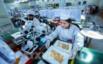 Loạt chính sách kinh tế mới hiệu lực từ tháng 1/2024