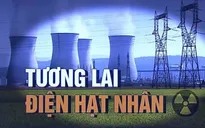 Nhật Bản tiến tới tái khởi động nhà máy điện hạt nhân