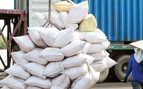 Giá gạo xuất khẩu của Việt Nam liên tục lập đỉnh