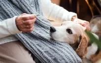 Thú cưng giúp làm chậm chứng sa sút trí tuệ ở những người sống một mình