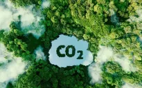 Việt Nam thu hơn 1.000 tỷ đồng từ bán tín chỉ carbon