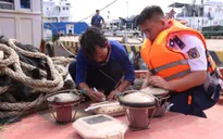 Kiên Giang: Phát hiện 2 tàu cá vi phạm IUU