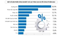 Năm 2023, giá trị tăng thêm ngành công nghiệp tăng 3,02%