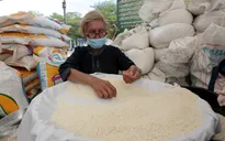 Giá gạo Thái Lan lập đỉnh 15 năm