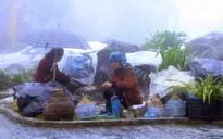 Không khí lạnh tăng cường, miền Bắc có nơi dưới 11 độ C