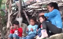 Cặp lá yêu thương: Mặt trời của mẹ