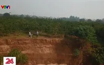 Sông Hồng biến dạng trong cơn "đói" cát