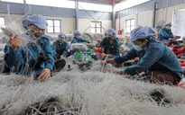 Lắng nghe thị trường, doanh nghiệp linh hoạt sản xuất hàng Tết