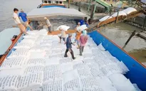 Vietnam’s rice exports hit record high since 1989
