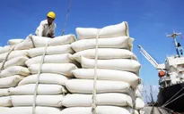 Indonesia muốn nhập 2 triệu tấn gạo: Bộ Công Thương khuyến cáo gì?
