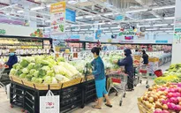 Nhu cầu nội địa và đầu tư công - Hai “trụ cột” nâng đỡ tăng trưởng năm 2023