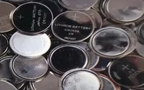 Vỏ trái cây phân hủy chất thải trong pin lithium