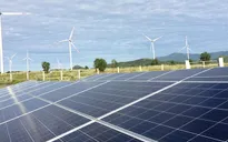 Chuyển đổi sản xuất xanh tạo động lực tăng trưởng cho doanh nghiệp