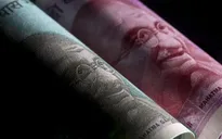 Ấn Độ: Nỗ lực biến đồng nội tệ Rupee thành tiền tệ toàn cầu