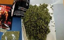Cảnh báo chất ma túy mới lần đầu xuất hiện ở Việt Nam