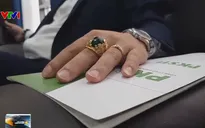 Chiêu trò "ve sầu thoát xác" của Công ty Capel