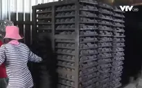 Sản xuất than sạch từ phế phẩm nông nghiệp