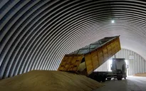 Ba Lan, Hungary cấm nhập ngũ cốc và thực phẩm từ Ukraine