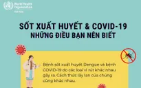 Cách phân biệt sốt xuất huyết và COVID-19