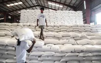 Philippines sẽ nhập khẩu thêm 330.000 tấn gạo