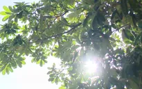 Nắng nóng ở Tây Bắc Bộ khả năng kéo dài đến ngày 23/4