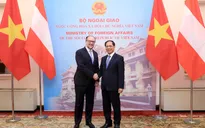 Việt Nam - Áo tăng cường hợp tác về công nghệ xanh, giao thông, y tế, cơ sở hạ tầng