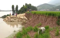 Khai thác cát gây sạt lở nghiêm trọng