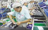 Áp thuế tối thiểu toàn cầu: Cơ hội trong thách thức