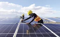 Thúc đẩy tăng trưởng xanh từ sản xuất đến tiêu dùng