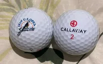 Kỷ lục vòng loại giải golf Mỹ mở rộng: Số lượng golfer cao kỷ lục