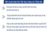 [INFOGRAPHIC] TP Hồ Chí Minh bàn giải pháp thúc đẩy phát triển kinh tế