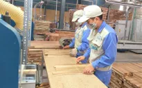 Định vị Thương hiệu quốc gia Việt Nam xanh