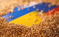 Hungary sẽ tiếp tục cho phép ngũ cốc Ukraine quá cảnh