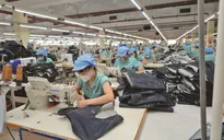 Gấp rút gỡ khó cho xuất khẩu