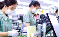 Tăng cường hiệu quả đầu tư FDI