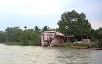 Sạt lở ám ảnh người dân sống trên các cồn ven sông ở ĐBSCL