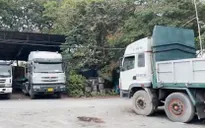TP Hồ Chí Minh: Quá tải đăng kiểm trên ứng dụng đăng ký online