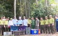 Tái thả nhiều động vật hoang dã về tự nhiên