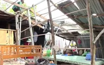 Đồng Tháp: Lốc xoáy làm sập, tốc mái 14 căn nhà