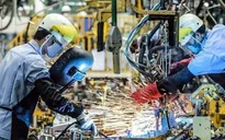 OECD dự báo kinh tế Việt Nam năm 2023 tăng 6,5%
