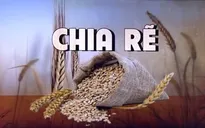 Ngũ cốc Ukraine phá giá tại thị trường Đông Âu